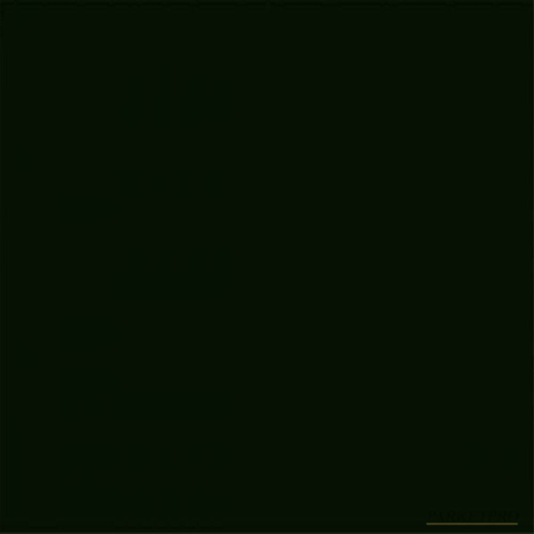 Ламинат WINEO (ВИНЕО) 550 LA067CH-01 Черный Глянцевый