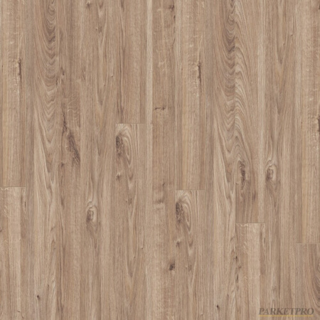 Ламинат THYS X-Treme T. 712901 Belgian  Beige Oak